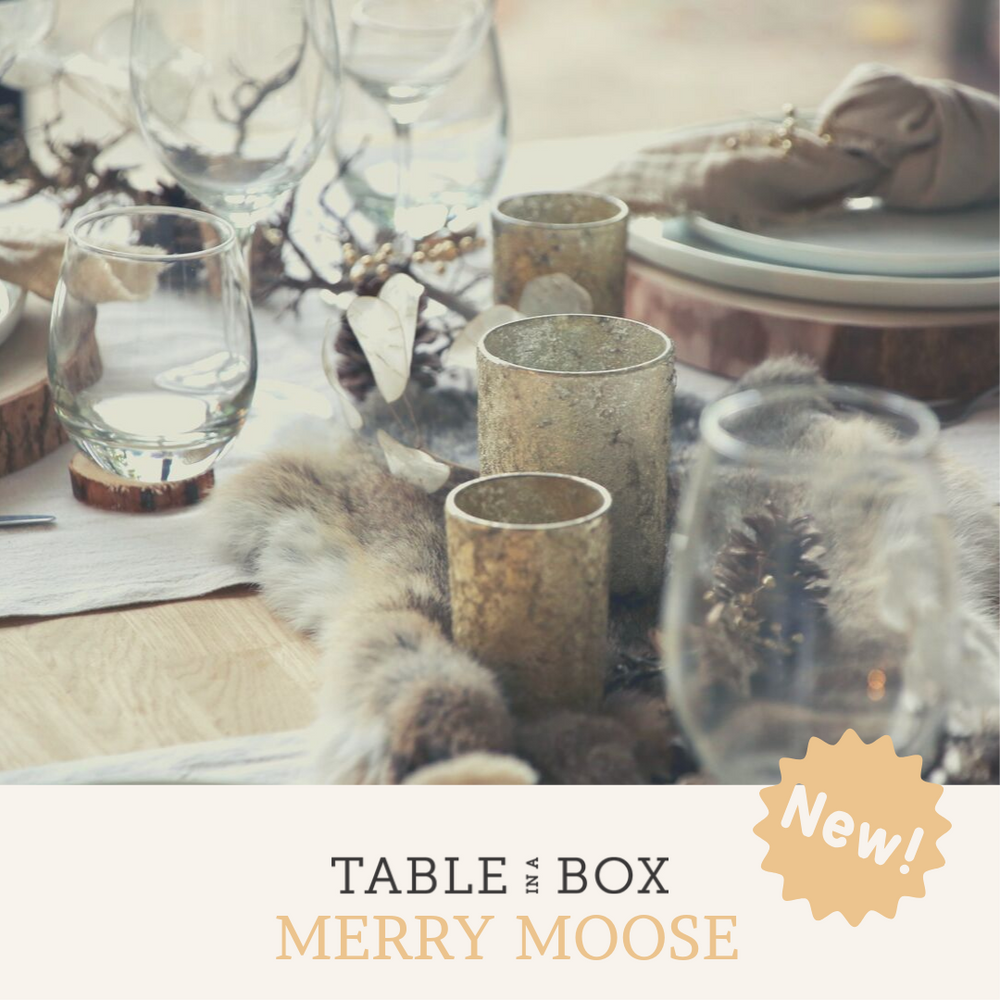 All-in-one Box Merry Moose 6p - ZONDER HOUTEN ONDERBORD